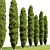 Mediterranean Cypress Trees Duo 3D model small image 2