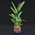 Tropical Indoor Plant Set 9 3D model small image 2