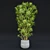 Tropical Indoor Plant Set 9 3D model small image 3