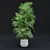 Tropical Indoor Plant Set 9 3D model small image 4