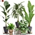 Botanical Bliss 3D Plants Set 3D model small image 1