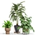 Botanical Bliss 3D Plants Set 3D model small image 2