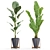 Botanical Bliss 3D Plants Set 3D model small image 3