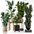 Large Indoor Plants Set FermLiving 3D model small image 1