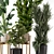 Large Indoor Plants Set FermLiving 3D model small image 3