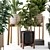 Large Indoor Plants Set FermLiving 3D model small image 5