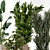 Large Indoor Plants Set FermLiving 3D model small image 6