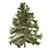 3 Cyprus Cedar Tree Models 3D model small image 5