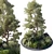 Variety Greenery Collection 3D Models 3D model small image 1