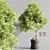 Bonsai Plant Models Bundle 3D model small image 1