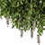 Diverse Outdoor Hanging Plants Set 3D model small image 2