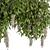 Diverse Outdoor Hanging Plants Set 3D model small image 3