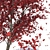 Autumn Red Urban Maple Tree 3D model small image 2