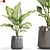 Unique Plant Collection Set 3D model small image 1
