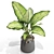 Unique Plant Collection Set 3D model small image 3