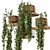 Concrete Pot Hanging Plants Set 3D model small image 2