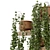 Concrete Pot Hanging Plants Set 3D model small image 4