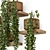 Concrete Pot Hanging Plants Set 3D model small image 5