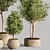 Exquisite Indoor Plants Collection Set 3D model small image 2