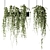 Elegant Hanging Plants Collection 3D model small image 1