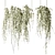 Elegant Hanging Plants Collection 3D model small image 3