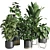 Modern Indoor Plant Collection Export 3D model small image 1