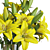 3D Yellow Lilies Bouquet Model 3D model small image 5