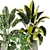 Indoor Plants Set 339: 3D Models 3D model small image 4