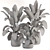 Indoor Plants Set 339: 3D Models 3D model small image 5