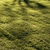 Lush Meadow Scene Assets 3D model small image 1