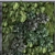 Vertical Greenery Set 304 3D model small image 5
