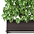 Premium Indoor Plants Collection 341 3D model small image 2