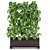 Premium Indoor Plants Collection 341 3D model small image 4