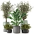 Max+Obj Indoor Plants Collection Set 3D model small image 1