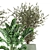 Max+Obj Indoor Plants Collection Set 3D model small image 5