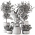 Max+Obj Indoor Plants Collection Set 3D model small image 6