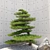 Red Pine Bonsai Tree Model 3D model small image 2