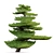 Red Pine Bonsai Tree Model 3D model small image 3