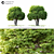 Lush 3D Landscape Tree Model 3D model small image 2