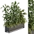 Indoor Plant Set in Box 3D model small image 1