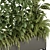 Indoor Plant Set in Box 3D model small image 2