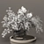 Artisanal Dried Flowers Collection 3D model small image 5