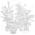 Exotic Indoor Plants Pack 17 3D model small image 3