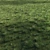 Eco-Scatter Grass Kit 3D model small image 1