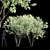Premium High Detail Amelanchier Tree 3D model small image 1