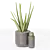 Decor Plants Set in Pots 3D model small image 1