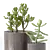 Chic Indoor Plants in Decorative Pots 3D model small image 3