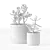 Chic Indoor Plants in Decorative Pots 3D model small image 4