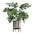 Tropical Monstera Houseplant Deluxe 3D model small image 1