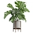 Tropical Monstera Houseplant Deluxe 3D model small image 5